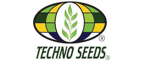 Techno Seeds